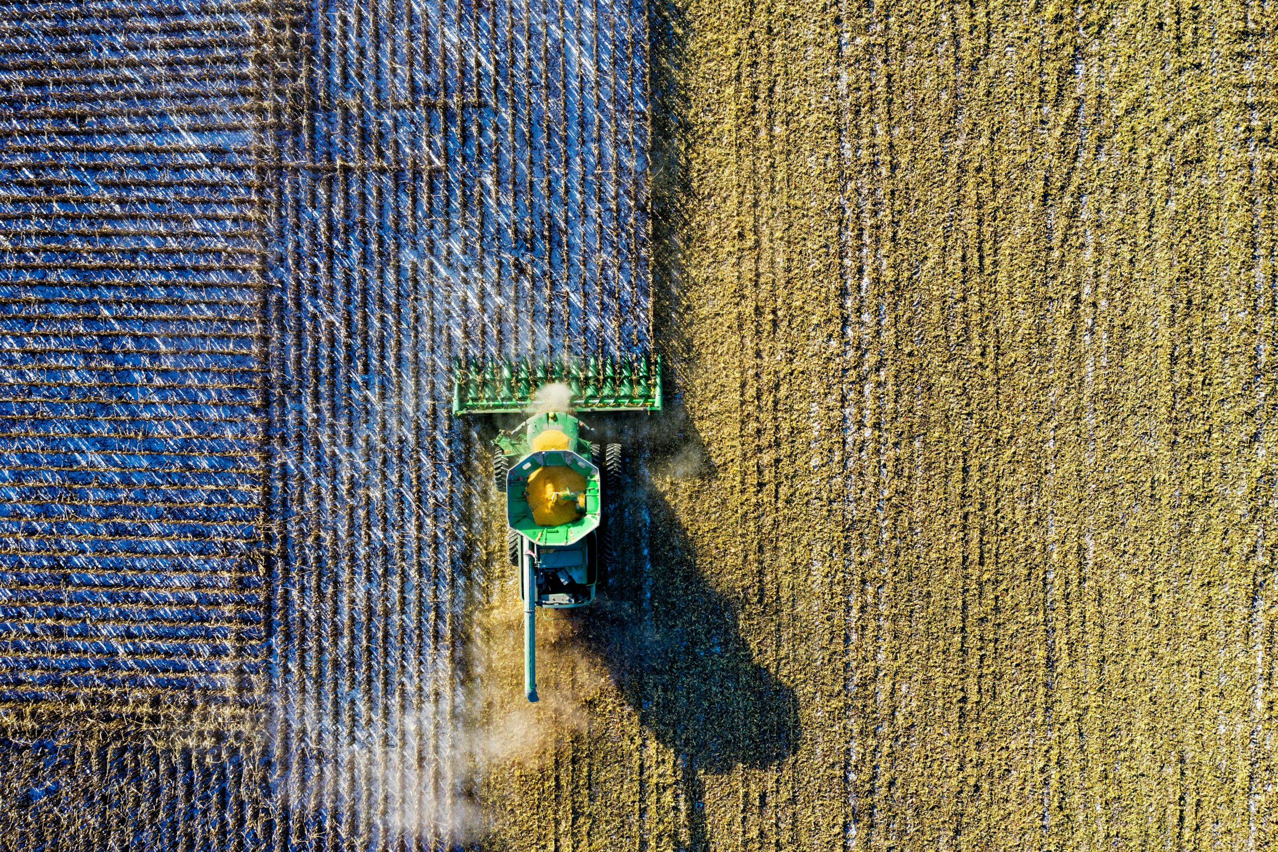 Tractor harvesting wheat